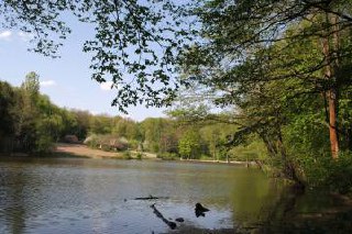 На Вінниччині орендар водойми незаконно привласнив гідроспоруди за 1,2 млрд грн