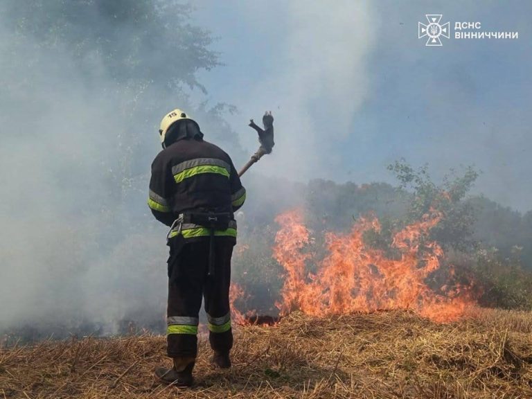 19 пожеж на Вінниччині