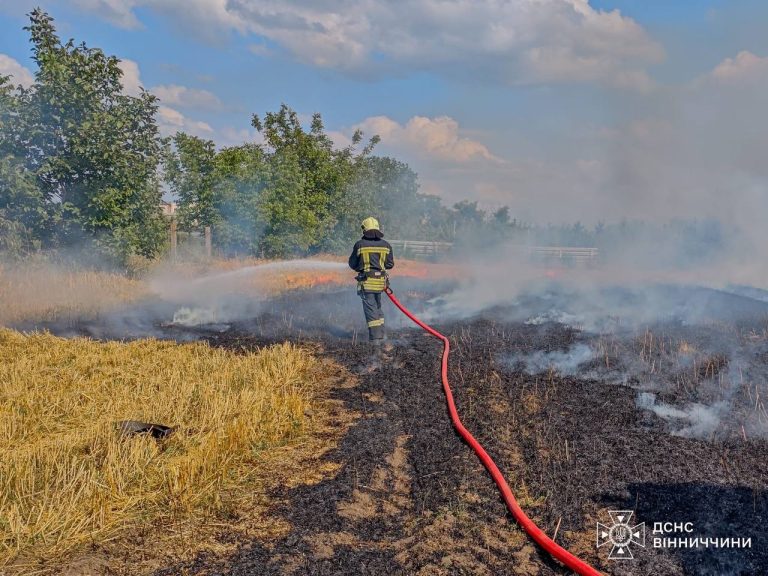 Масові пожежі на Вінниччині