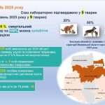 Сказ у тварин: понад 500 людей звернулись за допомогою на Вінниччині