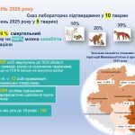 На Вінниччині зафіксували удвічі більше випадків сказу серед тварин
