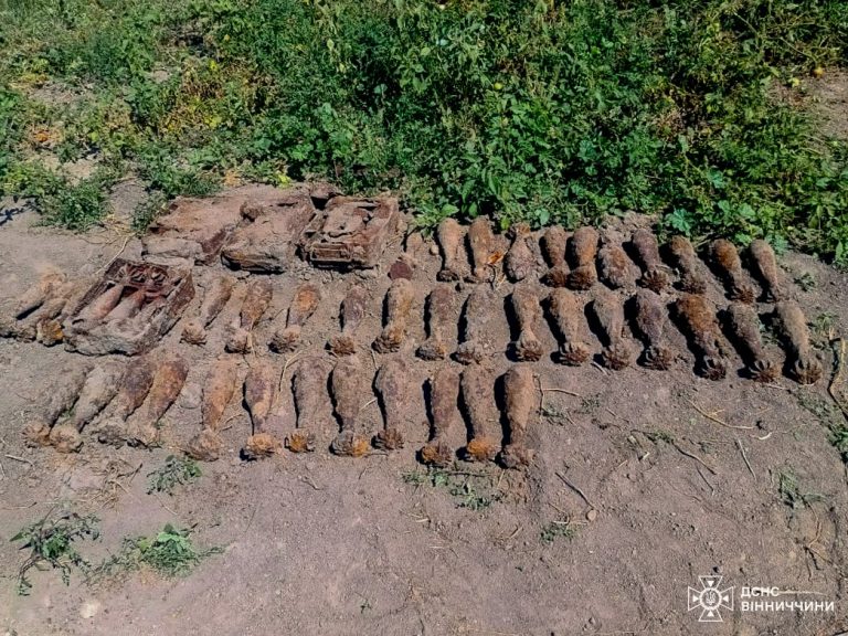 На Вінниччині знищили 52 міни часів Другої світової війни