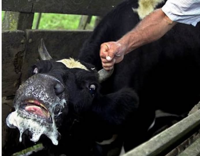 Випадок сказу на Вінниччині