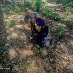 На Вінниччині знищили п’ять снарядів Другої світової війни