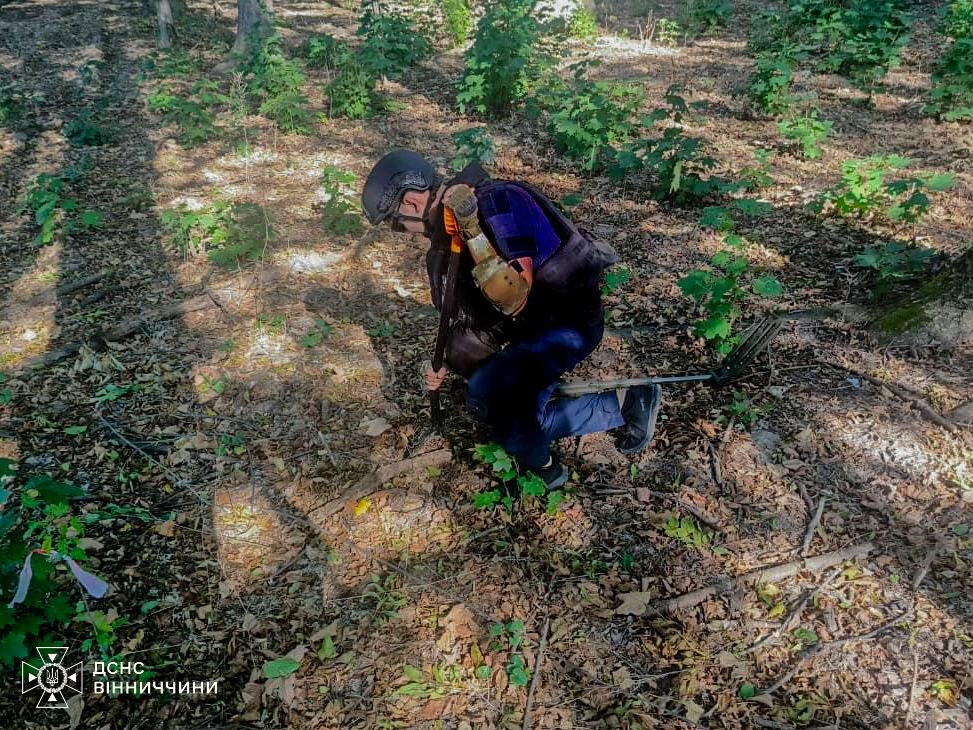 На Вінниччині знищили п’ять снарядів Другої світової війни