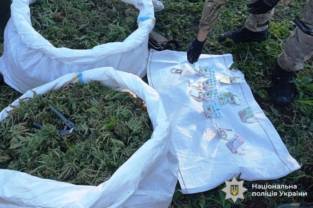На Вінниччині викрили наркоугруповання з багатомільйонним прибутком