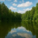 Верховний Суд повернув державі ставок та ліс у «Вороновицькій дачі»