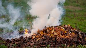 У Вінниці патрулі «Муніципальної варти» штрафуватимуть за спалювання листя