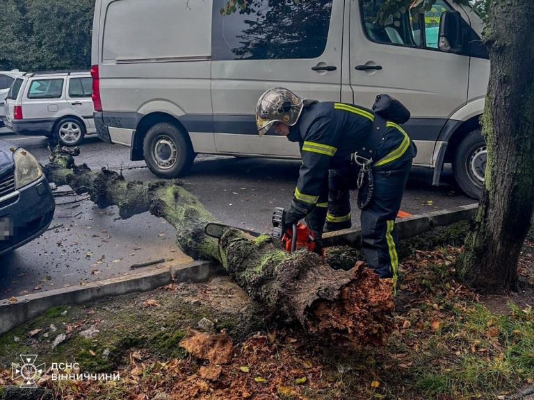 Рятувальники Вінниччини тричі виїжджали через наслідки негоди