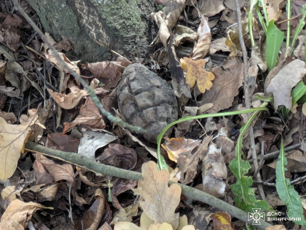 На Вінниччині сапери знищили гранату часів Другої світової війни