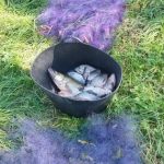 На Вінниччині чоловік незаконно виловив рибу на понад 30 тисяч гривень