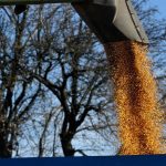 Аграрії Вінниччини зібрали понад 2,4 млн тонн зерна