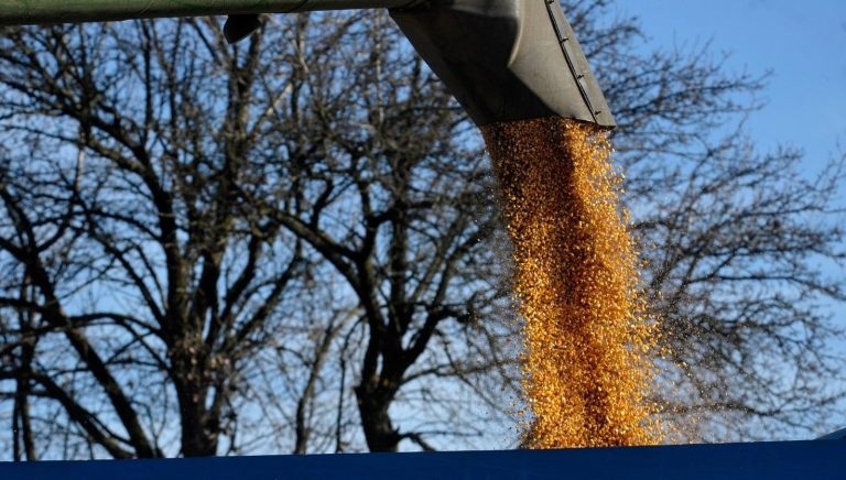 Аграрії Вінниччини зібрали понад 2,4 млн тонн зерна