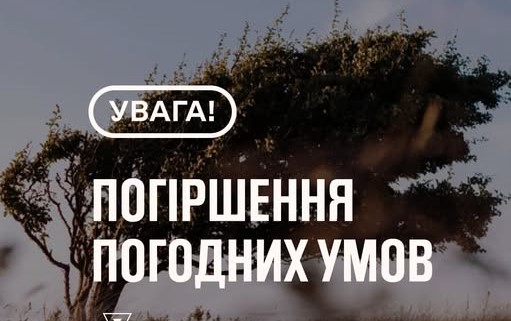 На Вінниччині оголошено жовтий рівень небезпеки через сильний вітер