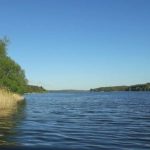 Ладижинська громада повернула понад 155 га земель водного фонду