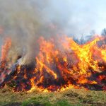 Вінничан штрафують за спалювання листя