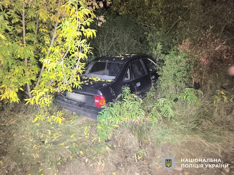На Вінниччині нетверезий чоловік викрав авто і врізався в дерево