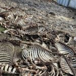 На Вінниччині підприємець незаконно вивозив відходи — завдав довкіллю збитків на 500 тисяч