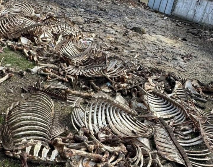 На Вінниччині підприємець незаконно вивозив відходи — завдав довкіллю збитків на 500 тисяч