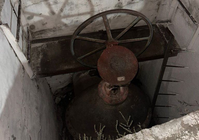 На Вінниччині масова загибель риби: ймовірне забруднення з підприємства