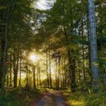 Землю Нацпарку «Кармелюкове Поділля» вартістю 6 млн грн повертають державі