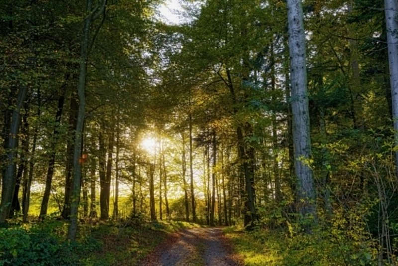 Землю Нацпарку «Кармелюкове Поділля» вартістю 6 млн грн повертають державі