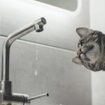 У Вінниці 20 листопада частина міста залишиться без води