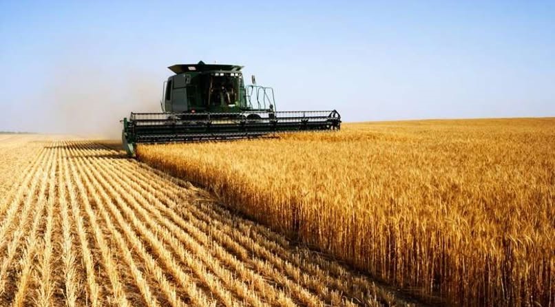 Аграрії Вінниччини зібрали 3 мільйони тонн зерна