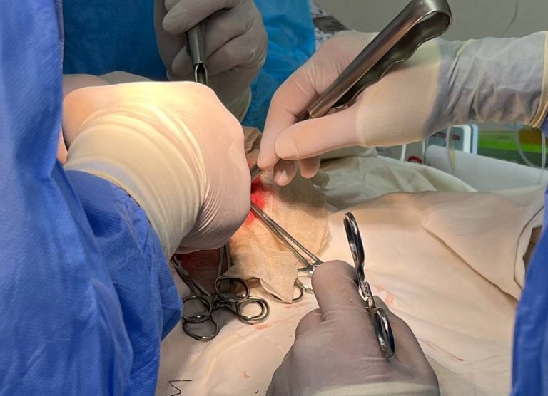 Лікарі врятували дитину, яка проковтнула магніти та металеву прикрасу