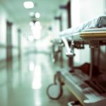 У Львові померла жінка з підозрою на сказ після укусу кошеняти