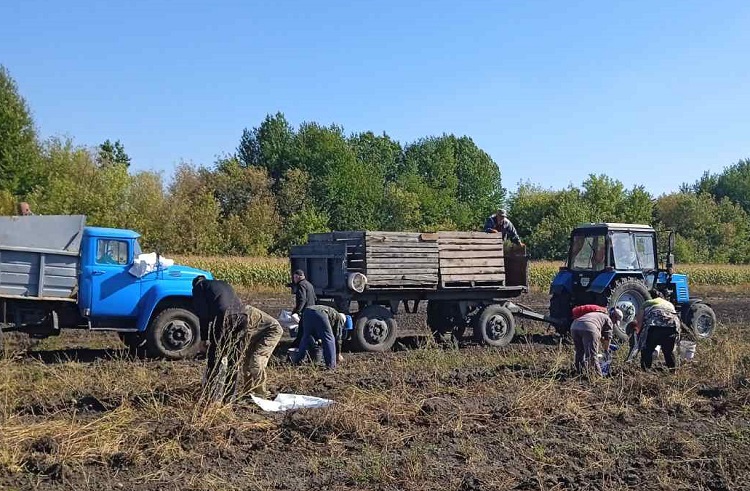 У школах Калинівки діти військових харчуються безкоштовно завдяки підтримці громади