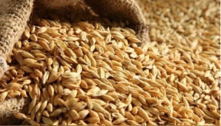 На Вінниччині зібрали понад 600 тис. га зернових