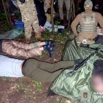 На Вінниччині викрили масштабну наркоплантацію: вилучено понад 150 кг канабісу