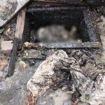 У Гнівані 17-річний юнак вбив брата і сховав тіло у вигрібній ямі