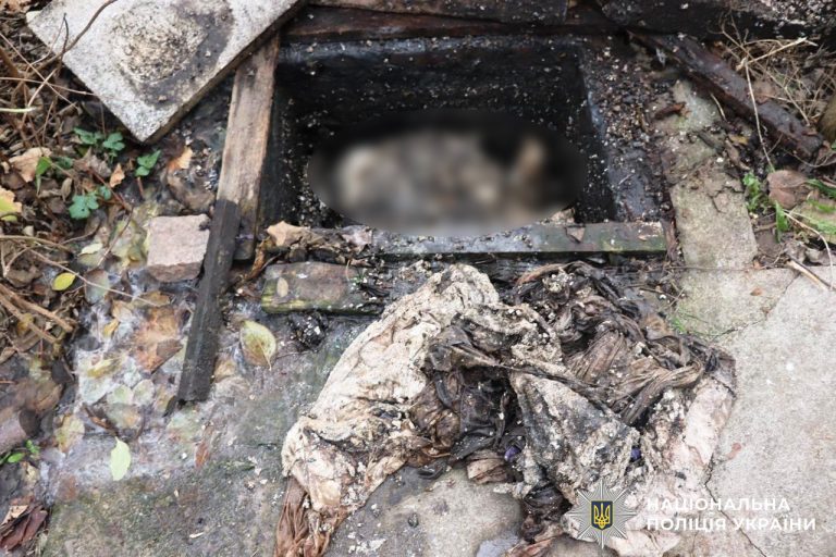 У Гнівані 17-річний юнак вбив брата і сховав тіло у вигрібній ямі