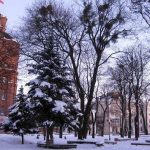 Морози до -12°: якою буде погода на Вінниччині 24–26 грудня