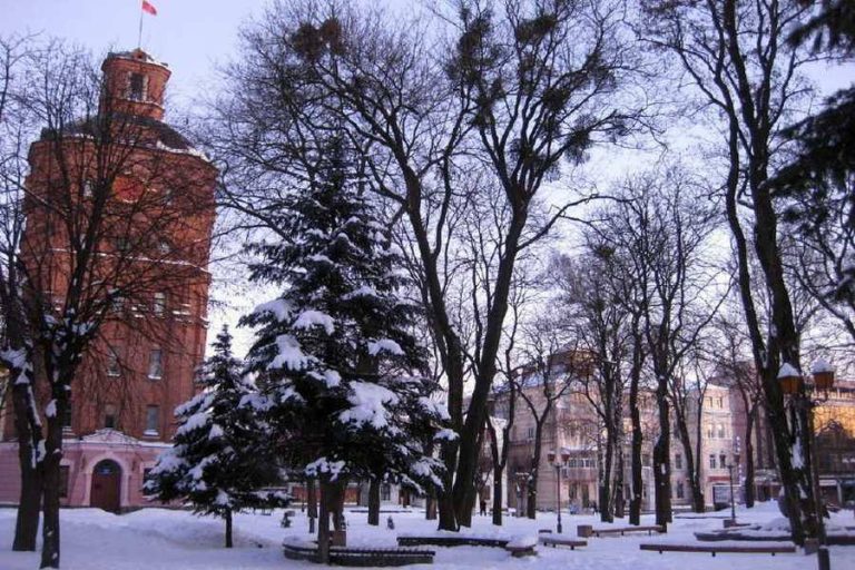 Морози до -12°: якою буде погода на Вінниччині 24–26 грудня