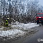 Ожеледиця ускладнила рух: на Вінниччині працювали підрозділи ДСНС