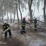 Ожеледь і повалені дерева: рятувальники 14 разів виїжджали на дороги Вінниччини