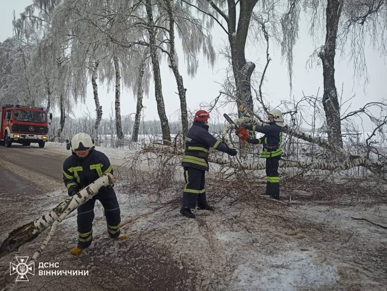 Ожеледь і повалені дерева: рятувальники 14 разів виїжджали на дороги Вінниччини