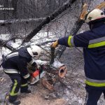 Ожеледиця на Вінниччині: ДСНС вісім разів виїжджала на виклики на Вінниччині