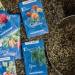 МХП та БФ «МХП-Громаді» розпочали щорічну акцію «Посій насіння»