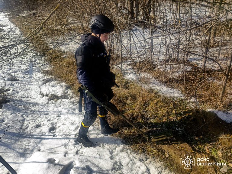 На Вінниччині сапери знищили 34 підривники часів Другої світової війни