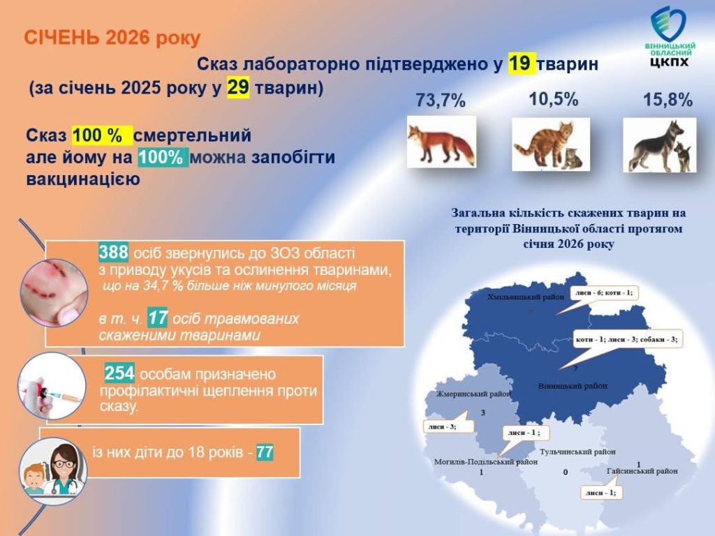 Майже 400 звернень через укуси: яка ситуація зі сказом на Вінниччині