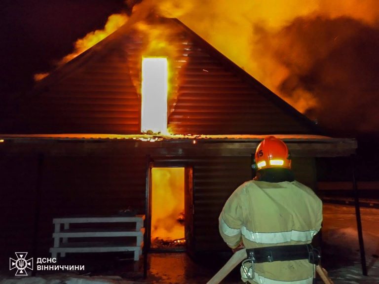 У Вінниці рятувальники врятували двох собак і кота під час пожежі