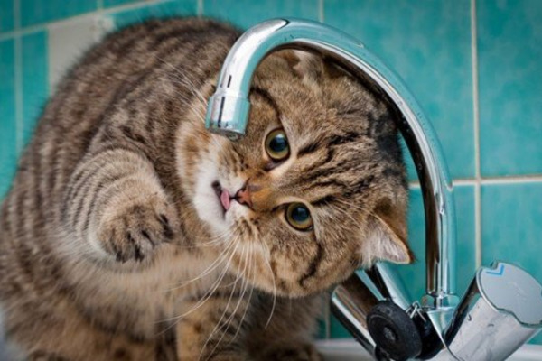 Тимчасове відключення води у Вінниці вночі 19–20 лютого