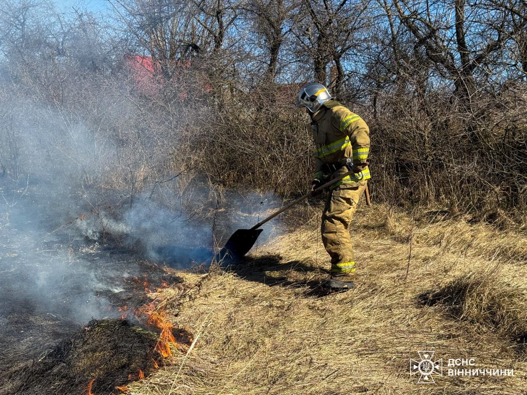 На Вінниччині загорівся автомобіль: в області сталось вісім пожеж