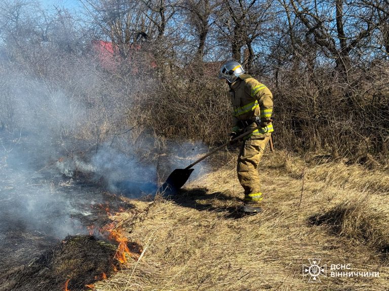 На Вінниччині загорівся автомобіль: в області сталось вісім пожеж