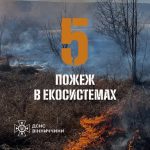 Понад 2 гектари землі вигоріло через пожежі на Вінниччині