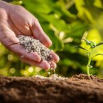 Аграрії Вінниччини готуються до активної фази весняно-польових робіт